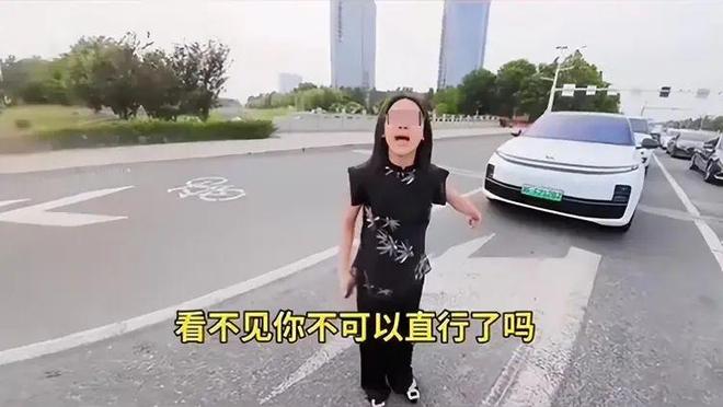 ：女司机气到流产公布完整行车记录仪pg试玩河北女司机与骑手冲突后续(图14)