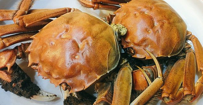 蒸螃蟹不直放姜鲜嫩锁汁超简单pg电子平台海鲜老板私藏招(图3)